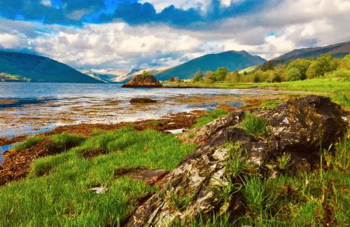 Seal Cove Cabin - Luxury Glamping - Foto 23