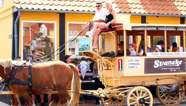 6 Person Holiday Home in Svaneke - Foto 3, Diversos