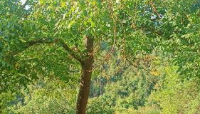 Casetta nella Città Invisibile - Foto 5, Garden