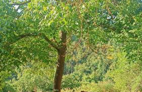 Casetta nella Città Invisibile - Foto 5