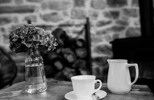 La Fontana, descubre Cabarceno y Cantabria - Foto 19