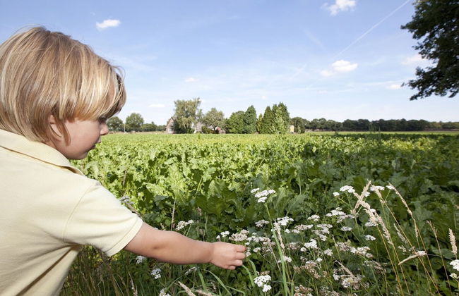 Restyled Bungalow, Near the Hunebed Center - Photo 39