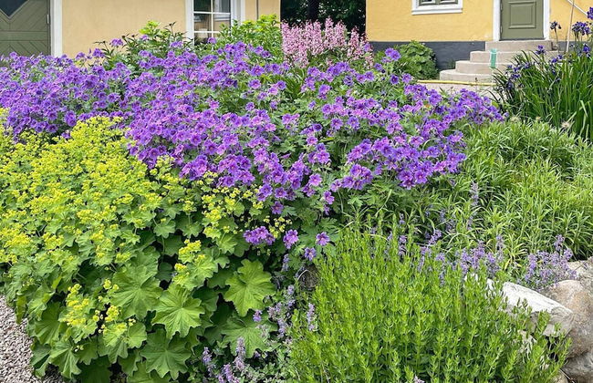 5 Person Holiday Home in Sjobo - Foto 22