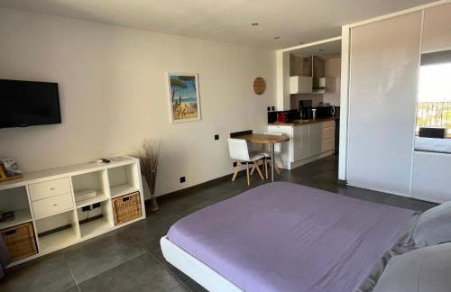 Le Port Plage Studio tout confort Terrasse Clim - Foto 11