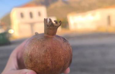 Εξοχική Μονοκατοικία με αυλή και εξωτερική αποθήκη-Country house with yard and external warehouse - Foto 30