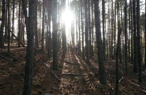 Loboratorio Rural, La Casa de al Lado - Foto 32