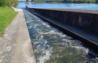 GADD Ferienwohnung # 002 Glück an der Donau # Best Elegant Suite 24#7 Check in - Foto 57