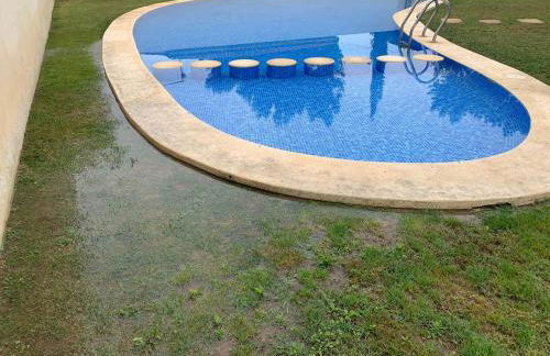 Chulillagreenhouse - Foto 14