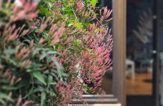 House - Sunlit haven with outdoor terrace, garage and metro 14, RER B - Foto 8