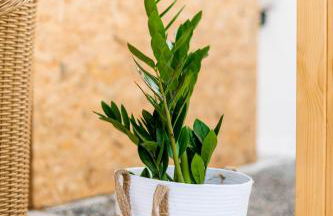 Villa Eleni - Foto 52