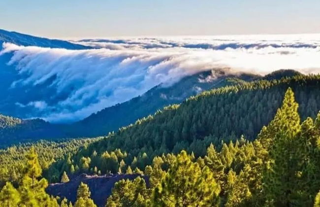 2 Bed Island Retreat-sleeps 4-5 Min Walk To Beach - Foto 43