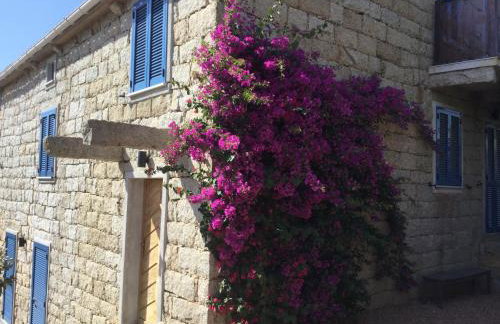 Le moulin de Figari, nouvelle climatisation - Foto 29