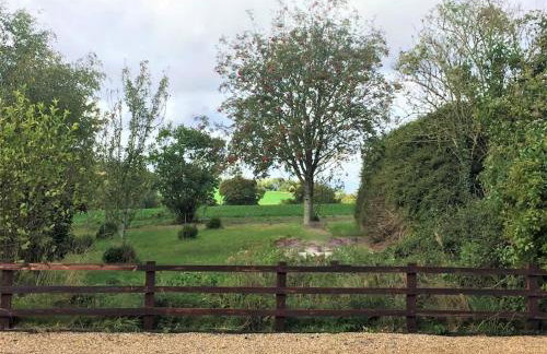 Contemporary Cottage outside South Harting - Foto 10