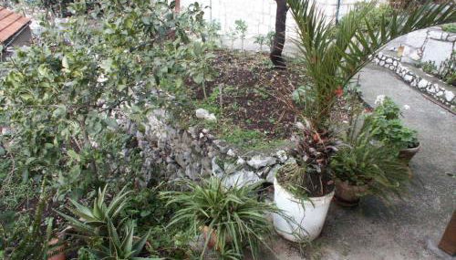 Apartments by the sea Babine Kuce, Mljet - 610 - Foto 5