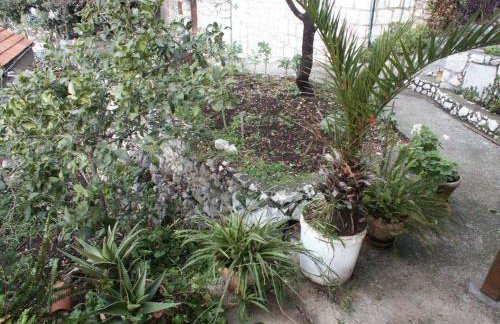 Apartments by the sea Babine Kuce, Mljet - 610 - Photo 5