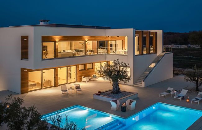 Old Olive VIII - Foto 37