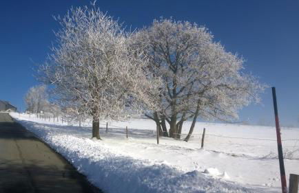 Ferienwohnung Weber - Foto 20