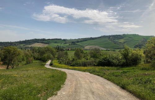 Agriturismo Molino Nuovo - Foto 55