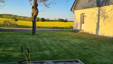 Ferienhaus Loimoos - Foto 4