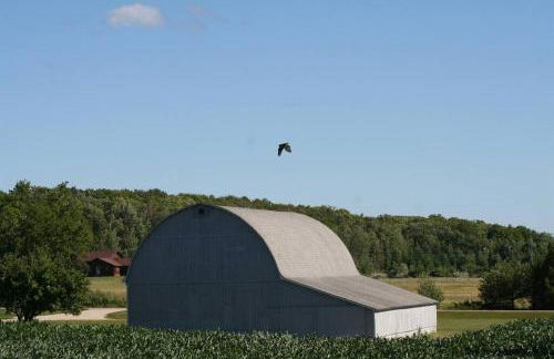Carraig Dale Cottage - Foto 13