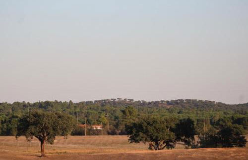 Monte Santo - Foto 47