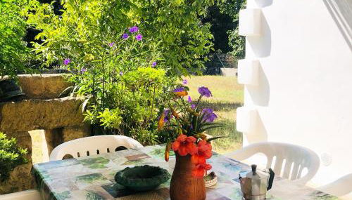 Casa nel Salento da Nico - Foto 4, Garden