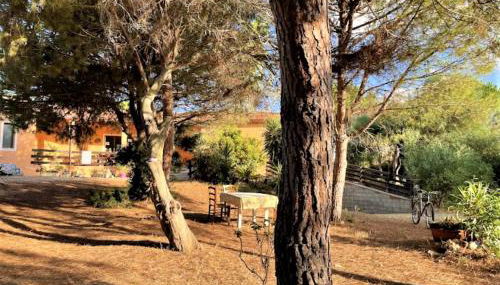 Il Lentischio del Sinis - Photo 2