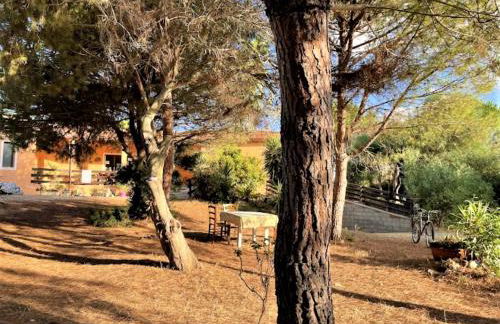 Il Lentischio del Sinis - Foto 2