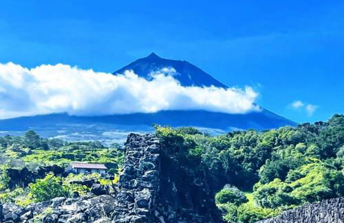 Welcome to Casa Fitz with Ocean Views and Air Conditioning - Photo 34