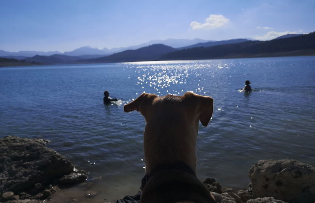 Lovely 10-bed Villa With Private Pool & Garden - Foto 25