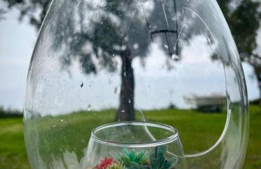 Acqua Blue Mola Kaliva resort - Foto 27