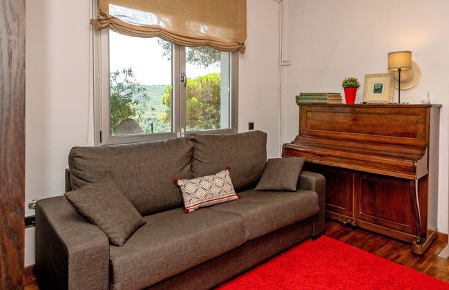 Ginesteres - Foto 17