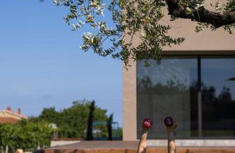 Luxury Villa Deneb with pool near Porec - Foto 34