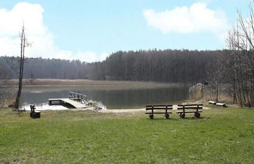 Ferienhaus Seeadler am Vilzsee in Mirow - Foto 33