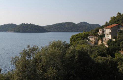 Apartments by the sea Ubli, Lastovo - 8355 - Foto 38