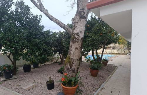 Casa do Outeirinho - Foto 6