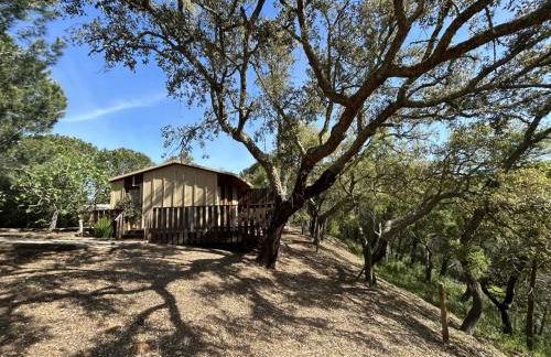 Cabanas de Melides - Foto 30