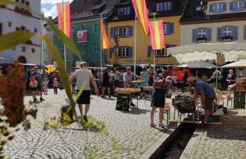 Ferienwohnung Belchenblick - Foto 25