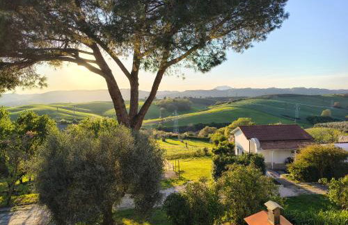 All'ombra del pino ALLOGGIO TURISTICO - Foto 13