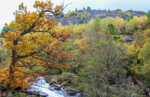 4 Ty Person - Photo 26