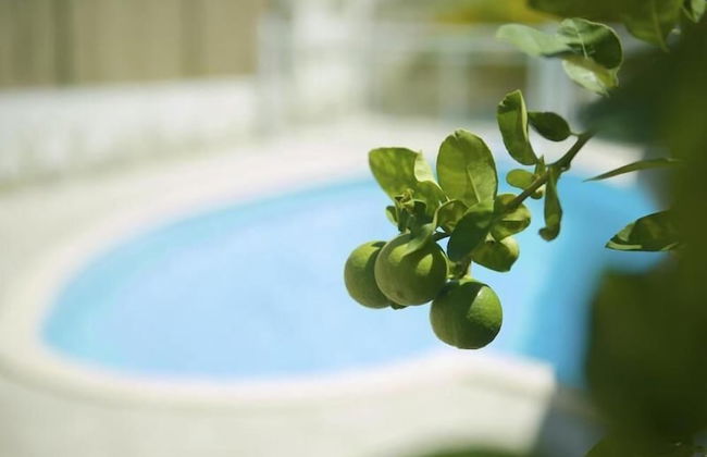 Village de la princesse - Photo 38