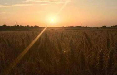 Cosy bungalow with views, walks, garden & parking. - Foto 72