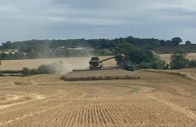 The Groom's Cottage - Foto 17