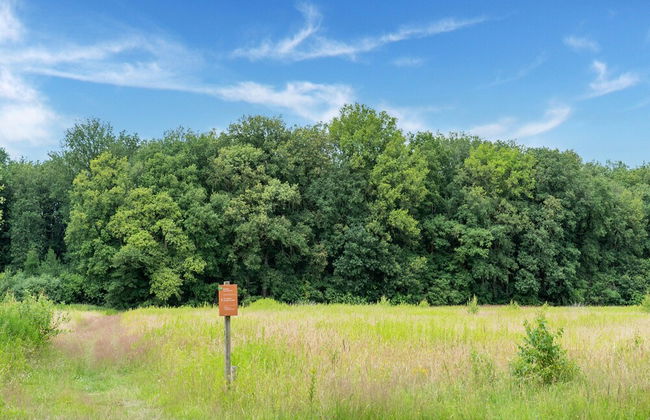 House in Hunzebergen Near Forest Trails - Foto 43