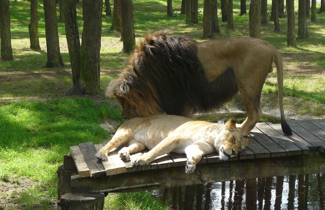 Heathside Family Retreat - Foto 14