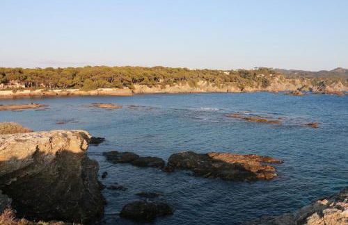 33 Avenue Joseph Roumanille - Foto 23