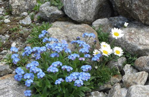 Casa Federica - Foto 58