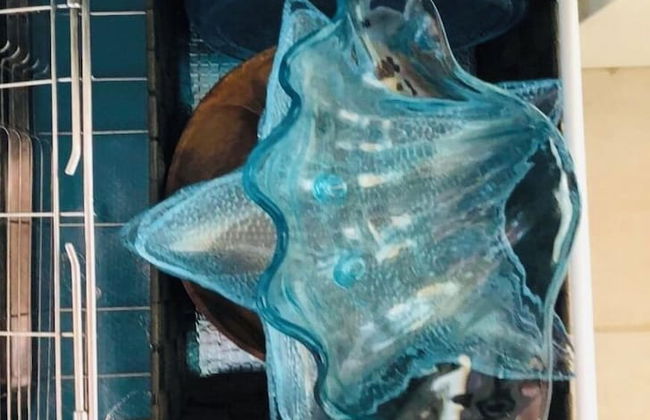 Suite Terrace Ishigakijima - Foto 24