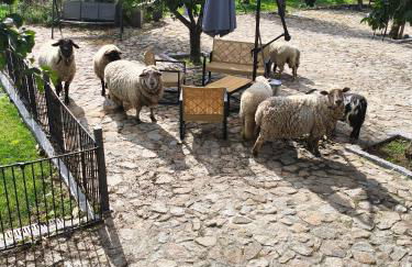 Tapada das Carvalhas - Foto 1