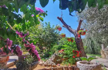 Rezidencija Galileja - Foto 59